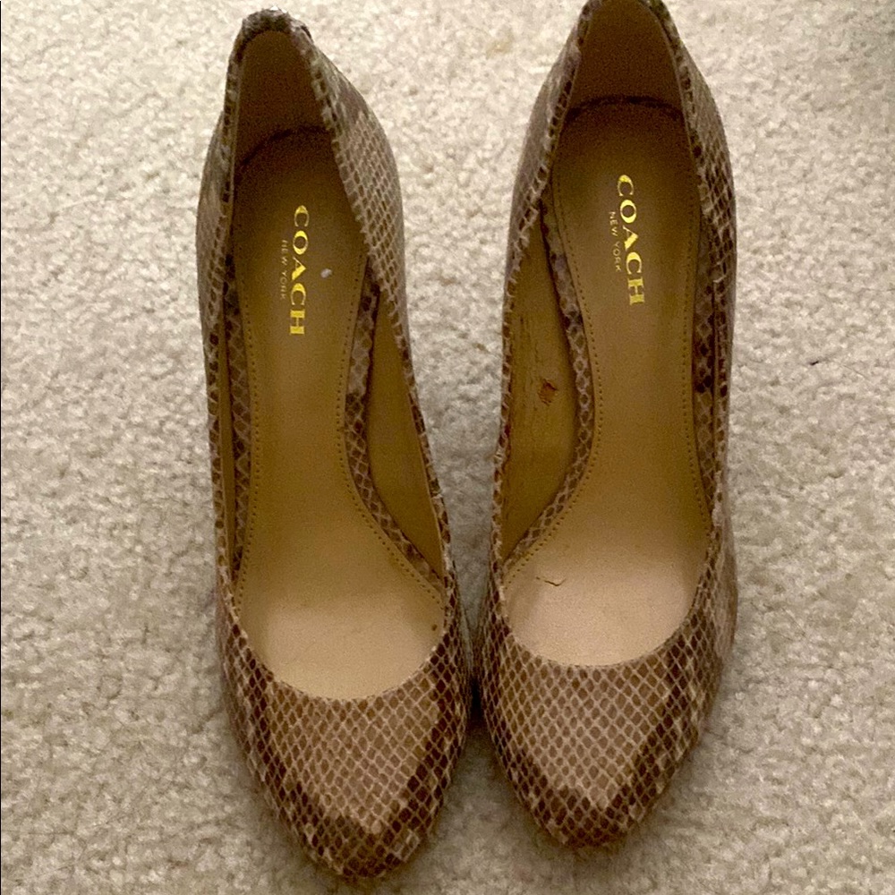 Coach Brown Heels Sophisticated Style